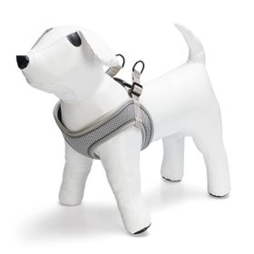 Beeztees Neopren Yeşil M 41-46 cm Köpek Göğüs Tasması