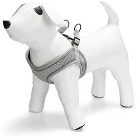 Beeztees Neopren Yeşil XS 30-35 cm Köpek Göğüs Tasması