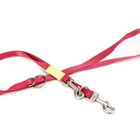 Beeztees Pembe 200 cm 20 mm Köpek Gezdirme Kayışı