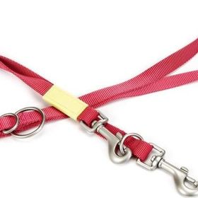 Beeztees Pembe 200 cm 20 mm Köpek Gezdirme Kayışı