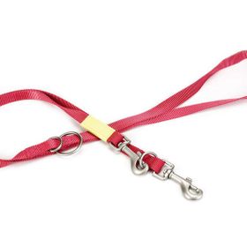 Beeztees Pembe 200 cm 20 mm Köpek Gezdirme Kayışı