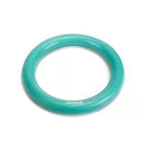 Beeztees Rubber Yeşil 15 cm Kauçuk İçi Dolu Halka Köpek Oyuncağı