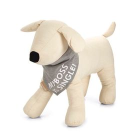 Beeztees Small Gri 22 x 12 Bandana Boyun Tasması