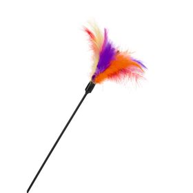 Beeztees Tüylü Uçlu 12- 45 cm Kedi Oltası