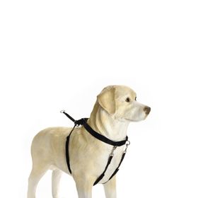 Beeztees Walker 65.5 cm M Köpek Yürüyüş Eğitim Ve Düzeltme Tasması