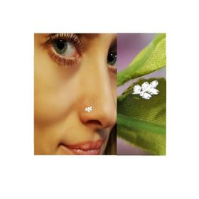 Begonia Accessories 925 Ayar Gümüş Zirkon Taşlı Defne Yaprağı Hızma
