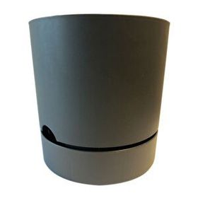 Begonya Antrasit 18 cm Saksı