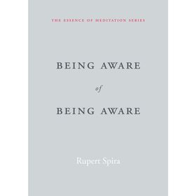 Being Aware of Being Aware: The Essence of Meditation Volume 1