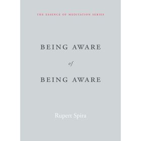 Being Aware of Being Aware: The Essence of Meditation Volume 1