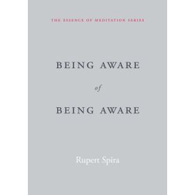 Being Aware of Being Aware: The Essence of Meditation Volume 1