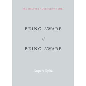 Being Aware of Being Aware: The Essence of Meditation Volume 1