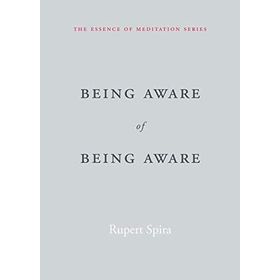 Being Aware of Being Aware: The Essence of Meditation Volume 1