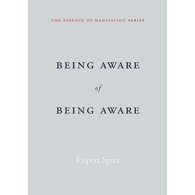 Being Aware of Being Aware: The Essence of Meditation Volume 1