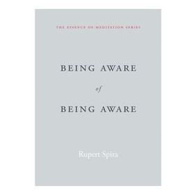Being Aware of Being Aware: The Essence of Meditation Volume 1