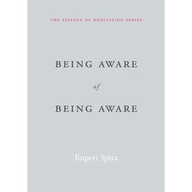 Being Aware of Being Aware: The Essence of Meditation Volume 1