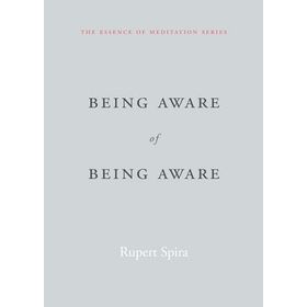 Being Aware of Being Aware: The Essence of Meditation Volume 1