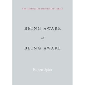 Being Aware of Being Aware: The Essence of Meditation Volume 1