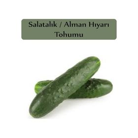 Beith Alpha 1 gr Hıyar Tohumu