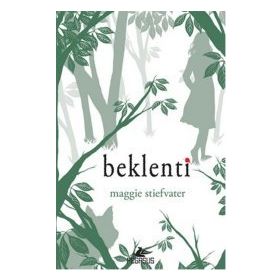 Beklenti - Maggie Stiefvater