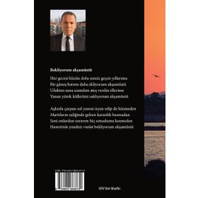 Bekliyorum Akşamüstü - Ali Şahin
