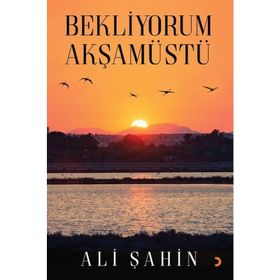 Bekliyorum Akşamüstü - Ali Şahin