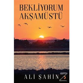 Bekliyorum Akşamüstü - Ali Şahin