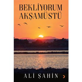 Bekliyorum Akşamüstü - Ali Şahin