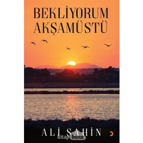 Bekliyorum Akşamüstü - Ali Şahin