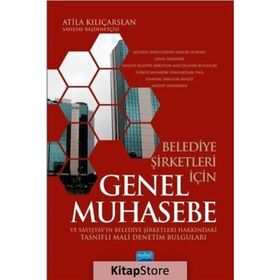 Belediye Şirketleri İçin Genel Muhasebe ve Sayıştay’ın Belediye Şirketleri Hakkındaki Tasnifli Mali Denetim Bulguları - Kolektif