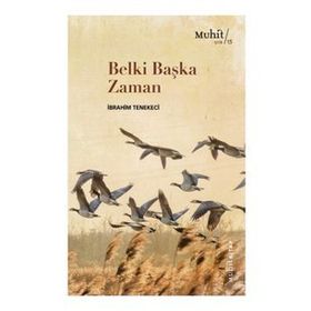 Belki Başka Zaman - İbrahim Tenekeci