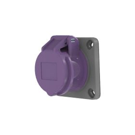 Bemis BC1-1102-2413 24V 2x16A 2P IP44 Makine Prizi