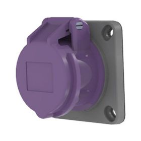 Bemis BC1-1102-2413 24V 2x16A 2P IP44 Makine Prizi