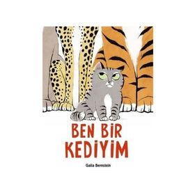Ben Bir Kediyim Galia Bernstein Tudem Yayınları