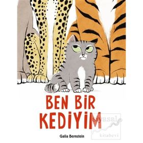 Ben Bir Kediyim Galia Bernstein Tudem Yayınları