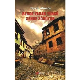 Bende Yanan Türkü Sende Sönüyor - Tayyib Atmaca