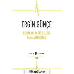 Benim Aklım Bir Delidir Sana Armağanım - Ergin Günçe
