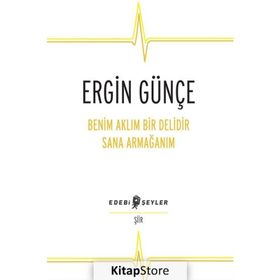 Benim Aklım Bir Delidir Sana Armağanım - Ergin Günçe