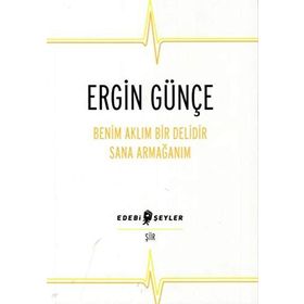 Benim Aklım Bir Delidir Sana Armağanım - Ergin Günçe