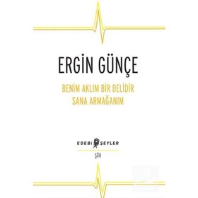 Benim Aklım Bir Delidir Sana Armağanım - Ergin Günçe