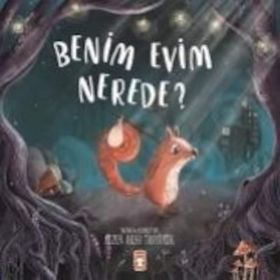 Benim Evim Nerede? - Sezen Aksu Taşyürek