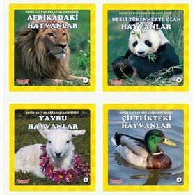 Benim Hayvan Arkadaşlarım 4 Kitap - Kolektif