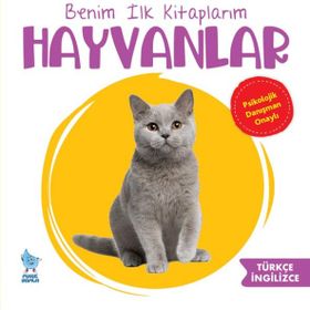 Benim İlk Kitaplarım Hayvanlar Damla Yayınevi