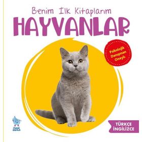 Benim İlk Kitaplarım Hayvanlar Damla Yayınevi
