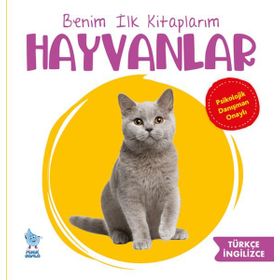 Benim İlk Kitaplarım Hayvanlar Damla Yayınevi