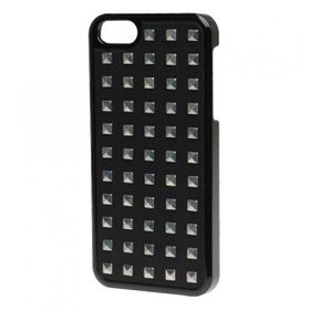 Benjamins Gümüş Zımbalı iPhone 5 Kılıf