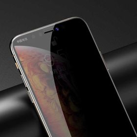 Benks Apple iPhone 11 Pro 0.3 mm V Pro Hayalet Gizli Ekran Koruyucu