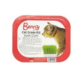 Benny kedi çimi