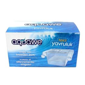 Benny Tekli Vantuzlu Balık Yavrulugu