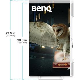 BenQ EW3290U 32 inç IPS 4K Monitör