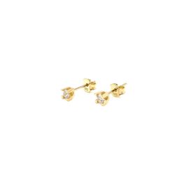 Berk Mücevherat Tektaş 3.10 gr 14 Ayar Altın Küpe